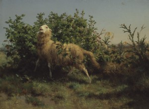 The Sheep and the Bramble Bush